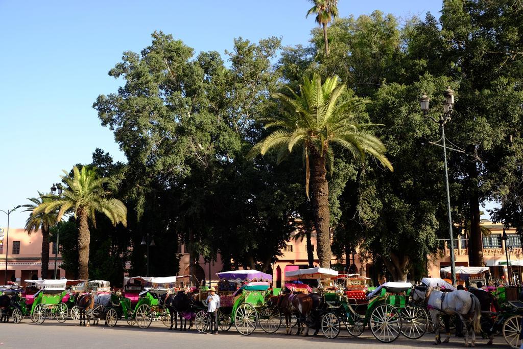 Riad Dar Alfarah Marrakesh